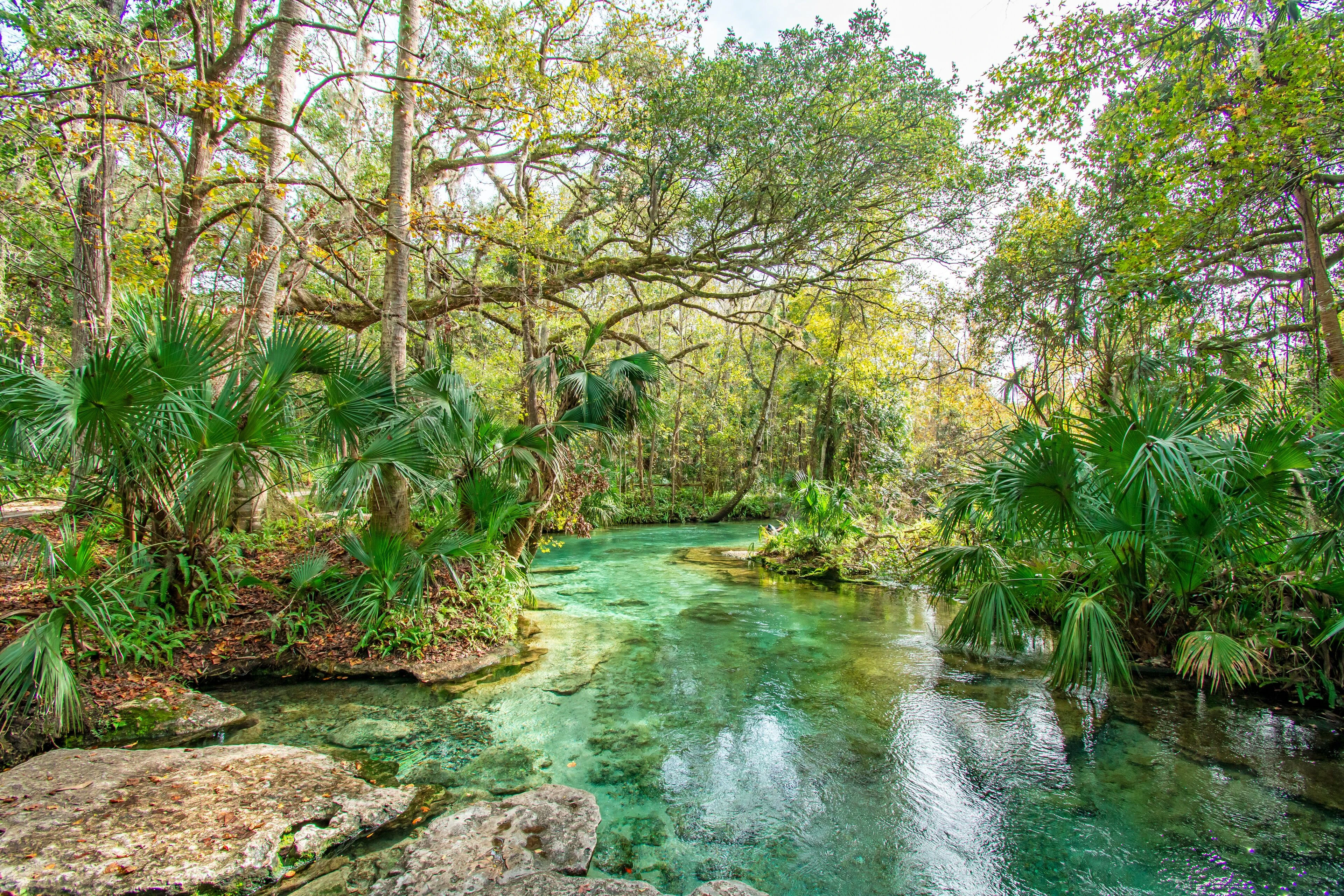 Apopka, FL