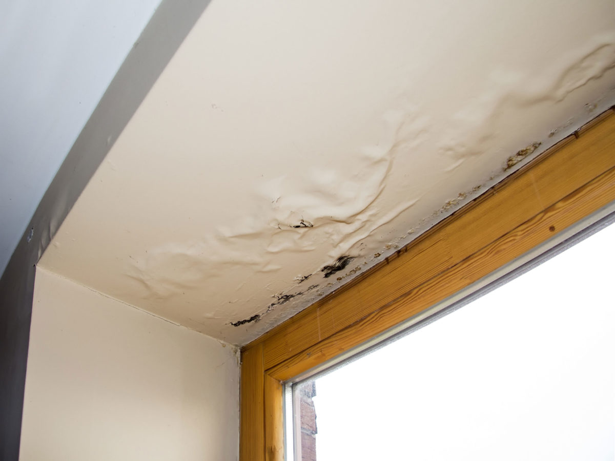Humidity & Trapped-Moisture Roof Repair